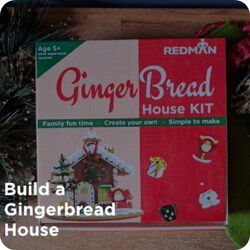 Ginger Bread House Kit